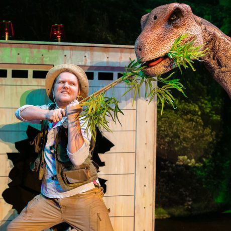 A person feeding a large diplodocus puppet.