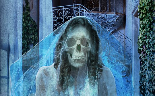 A spooky skeleton wearing a bride's wedding dress.