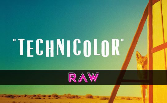 Technicolor. A coyote behind a billboard in the Texan desert.